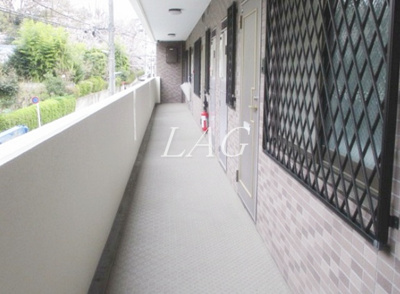 【その他共用部分】 | セレッサＹ’ｓ | 共用廊下です。