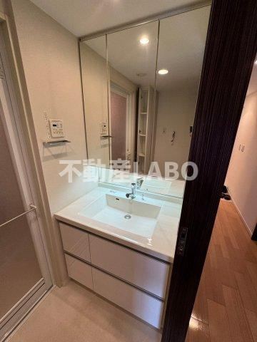 メイツブラン九条駅前の洗面所