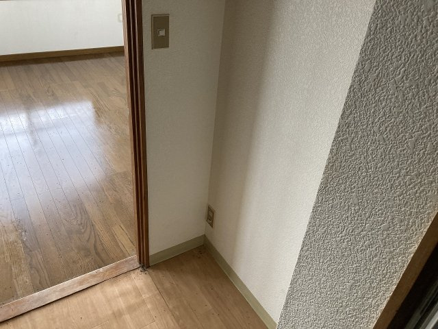 レディースクラウンのその他