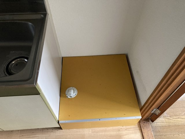 レディースクラウンのその他