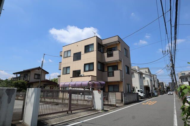 デュエットマルチョウの外観