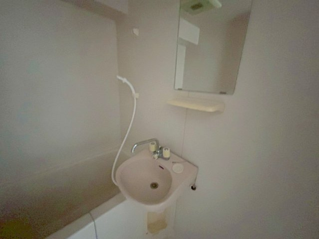 カーサミクニの洗面所