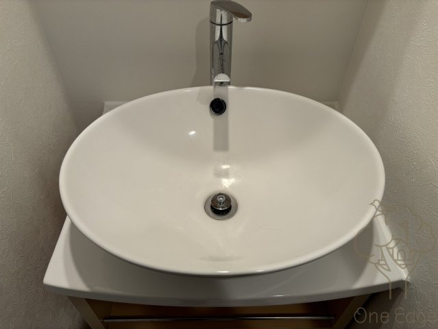 トレヴァンス梅田の洗面所