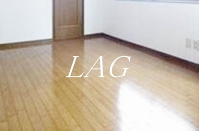 【居間・リビング】 | リバーストーン五反田 | 洋室のお部屋です。