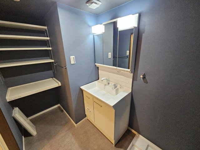 メゾン・ド・ラヴィの洗面所