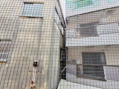 【展望】 | メゾンコダサ | 荒川区東日暮里4丁目「メゾンコダサ」　ベランダからの眺望