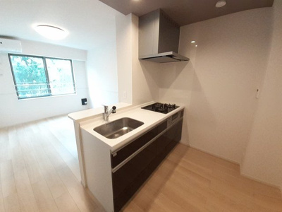 【キッチン】 | アネモスヒルズ天理Ⅱ