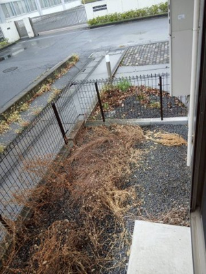 【庭】 | Le temps calme B（ルタンキャルム） | お庭が付いています