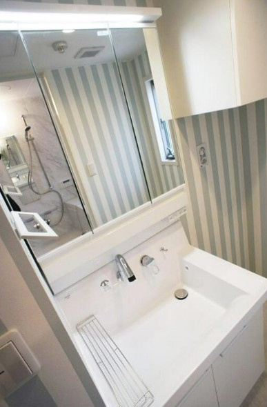 メゾンパルクの洗面所