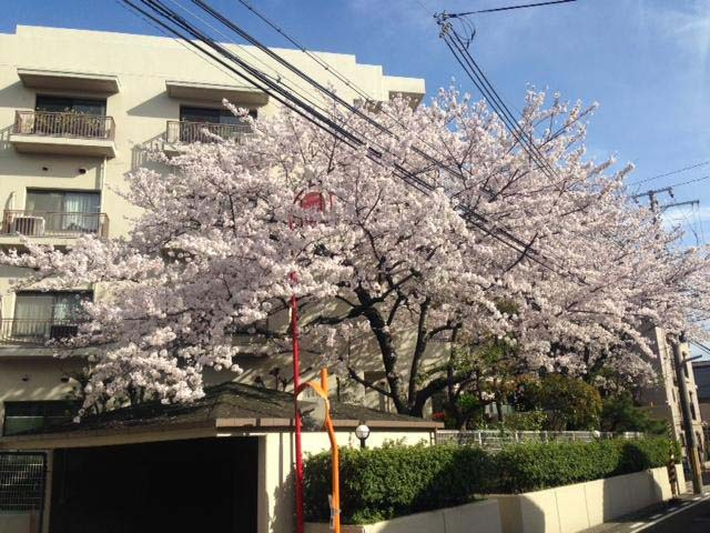 レフィナード夙川公園