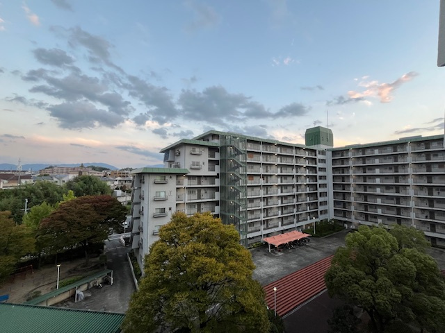 南海狭山コーポ2号棟の展望