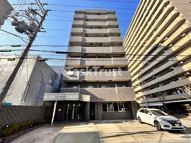 Serene Miyakojimaの画像