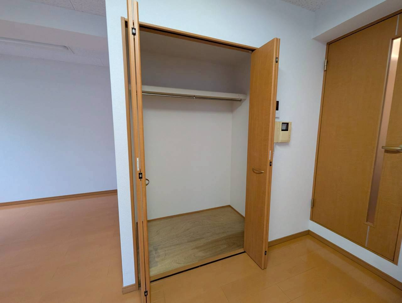 ラフィーネ川西の収納