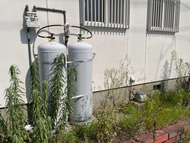 伊勢崎市境三ツ木　戸建てのその他