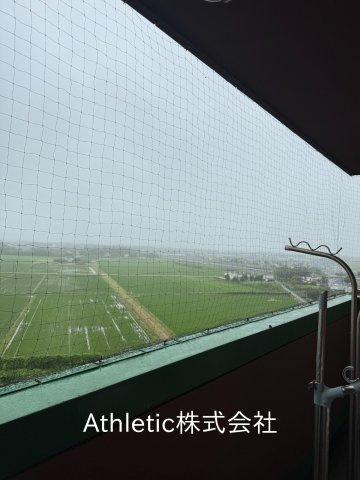 パノラマビュー白子の展望