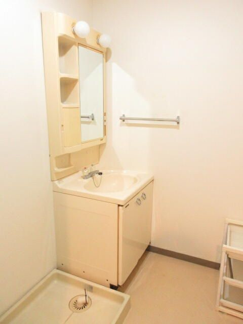 ウィングヒルズ金子の洗面所