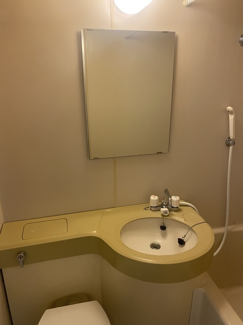 アーバンコア鹿野の洗面所