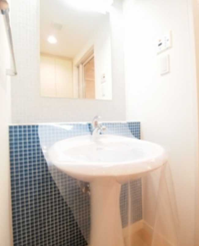 エスティメゾン恵比寿Ⅱ　角部屋　ペット相談可　シャーメゾンの洗面所