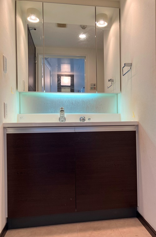 グランジュール明大前の洗面所