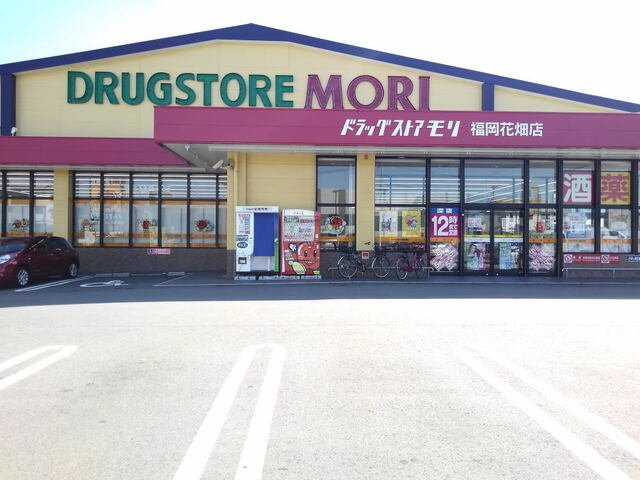 エターナルノバの周辺|ドラッグストアモリ福岡花畑店まで1000m