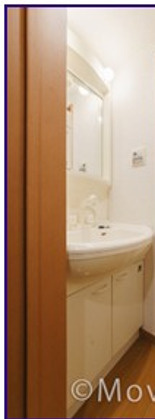 グリシーヌ成城の洗面所