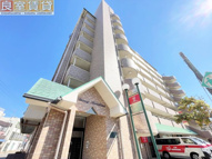 ブロンズ森島の画像