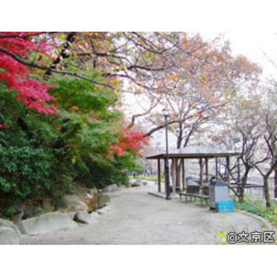 【周辺】 | キャップス早稲田 | 公園「江戸川公園まで720ｍ」