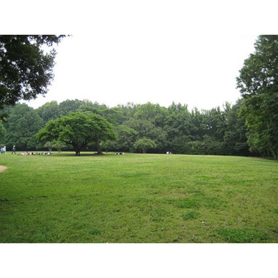 【周辺】 | リーセントパレス神木本町 | 公園「東高根森林公園まで850ｍ」東高根森林公園