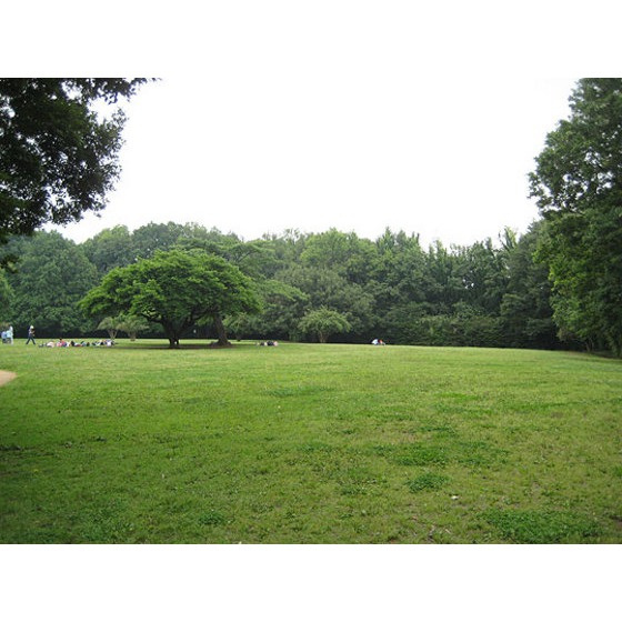 リーセントパレス神木本町の周辺|公園「東高根森林公園まで850ｍ」東高根森林公園