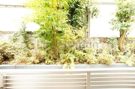 【展望】 | ハレリノ上野毛