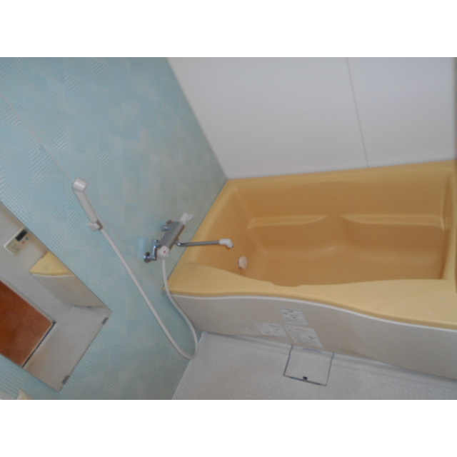 Castle Hills 柳ヶ瀬の浴室