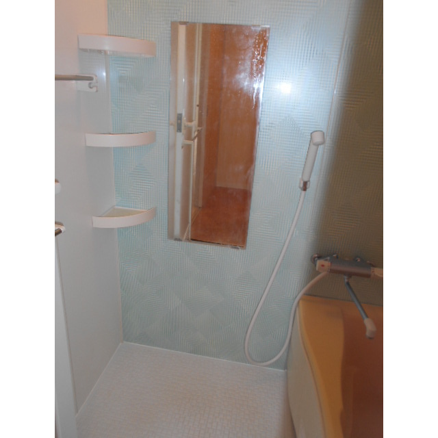 Castle Hills 柳ヶ瀬の浴室