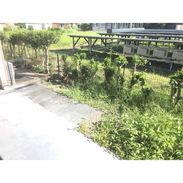 雅　‘MIYABI’のその他