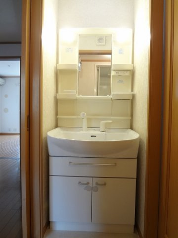 サンリット大津の洗面所