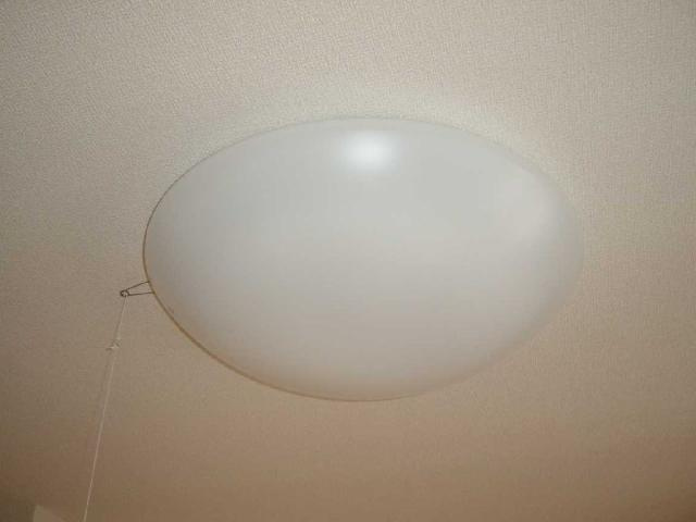 Vuela Bのその他|照明