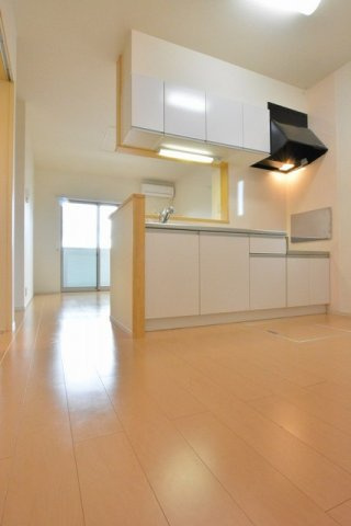 ＮＭＯＮ・ⅡＪのその他