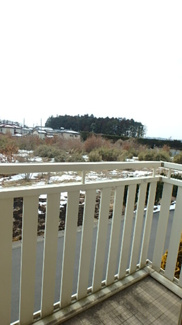 【バルコニー】 | メゾン･ド･フローレンス　Ｃ