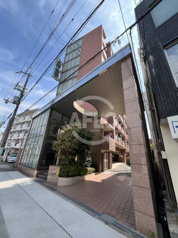 エクセレント上新12