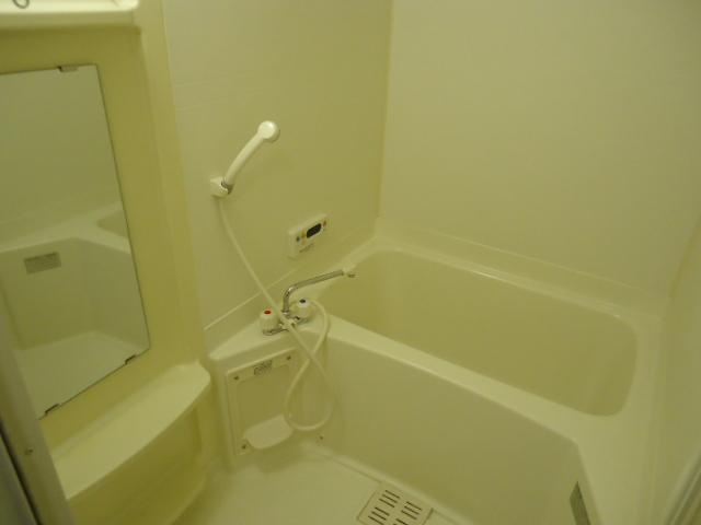 Placion（パラシオン）の浴室|バス