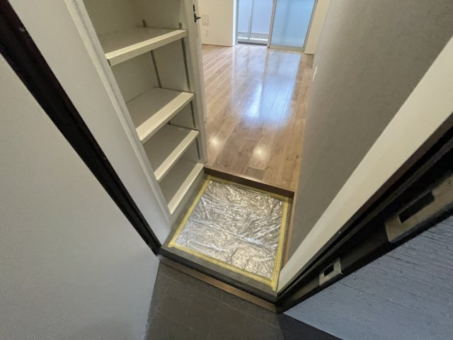 落ち着いた玄関です