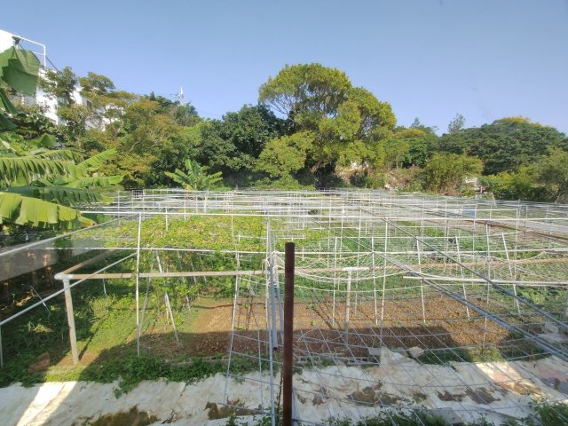 ♪♪八重瀬町東風平Ⅲ-2号棟（全2邸）の庭|※参考写真※