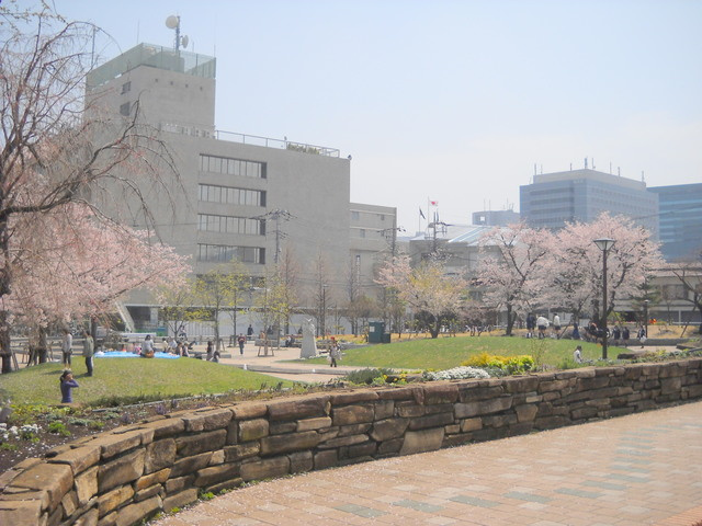 グリーンハイツ大崎のその他|しながわ中央公園多目的広場