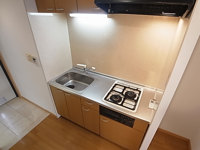 神戸市兵庫区新開地４丁目の賃貸マンションのキッチン|システムキッチン（ガス２口）