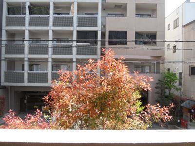 ジュネス木駒の展望