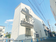 ドマーニ扇の画像