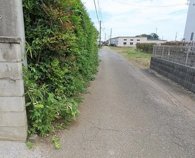 【土地】坂戸市青木建築条件無し売地の前面道路含む現地写真|前面道路含む現地写真です