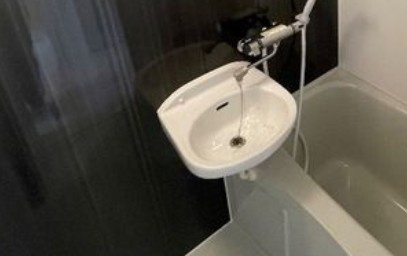 ルネコートお花茶屋の洗面所