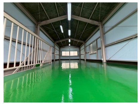 久御山町野村村東事務所兼倉庫の内装