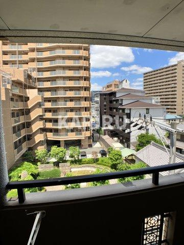 デンクマール50の展望