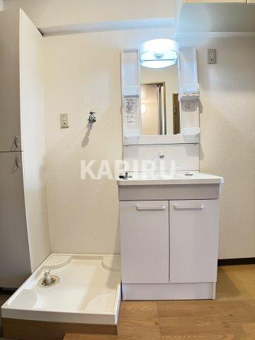 デンクマール50の洗面所